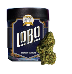 Lobo - Lobo - Gelato - 3.5G 