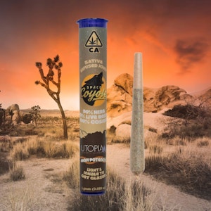 Space Coyote - Infused Preroll - Tropicana Punch x Strawnana Resin 1g (S) - Space Coyote