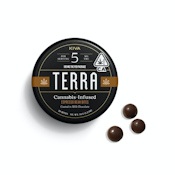 Dark Chocolate Espresso Bean Bites | 100mg