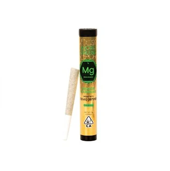 Micro Greenz - Micro Greenz - 1g Infused Pre-Roll - Biscotti x Lemon OG Main Image