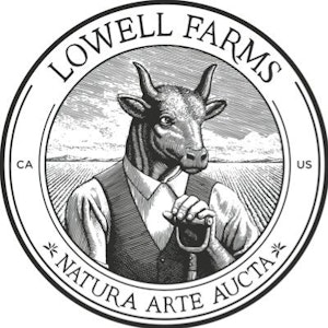 LOWELL FARMS - LOWELL - Waffle Cone - 4g