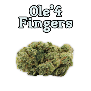 Orange Sherbert 3.5g Bag - Ole' 4 Fingers