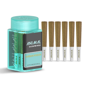 Animalz - 3g Durban Poison Infused Pre-Roll Pack (.5g - 6 pack) - Animalz