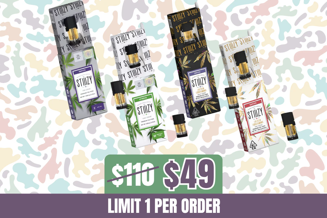 STIIIZY - 3g STIIIZY Vape Bundle Main Image