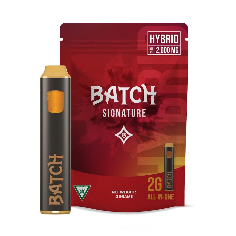 Batch - Papaya Punch 2g Disposable - BATCH Main Image