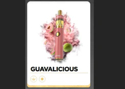 Dime Disposable Guavalicious 2g