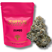 Gumbo | Flower | SATTVA | 3.5g