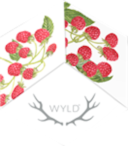 Northwest Confections, NM - WYLD - Raspberry (100mg THC) Sativa Enhanced