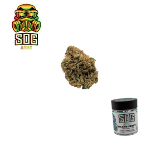 SOG ARMY - Island Freeze