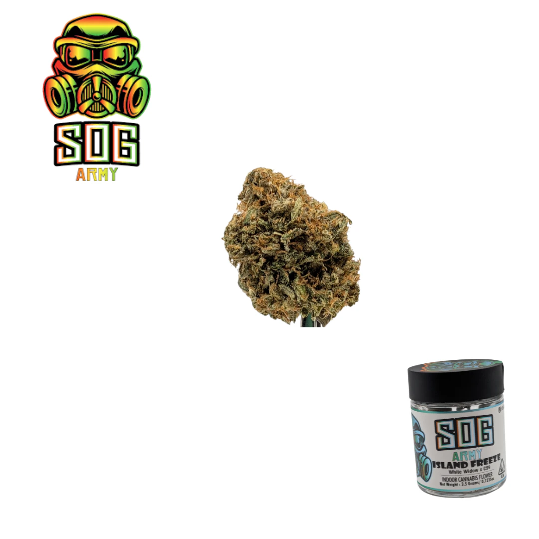 SOG ARMY - Island Freeze Main Image