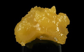 Globs Hella Lemon Badder