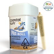 Coastal Sun Blueberry Pancakes 10pk 3.5g Prerolls