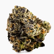 Purple Panty Dropper | Dank | Flower | 3.5g