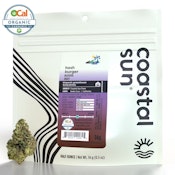 Hash Burger - 14g (H) - Coastal Sun