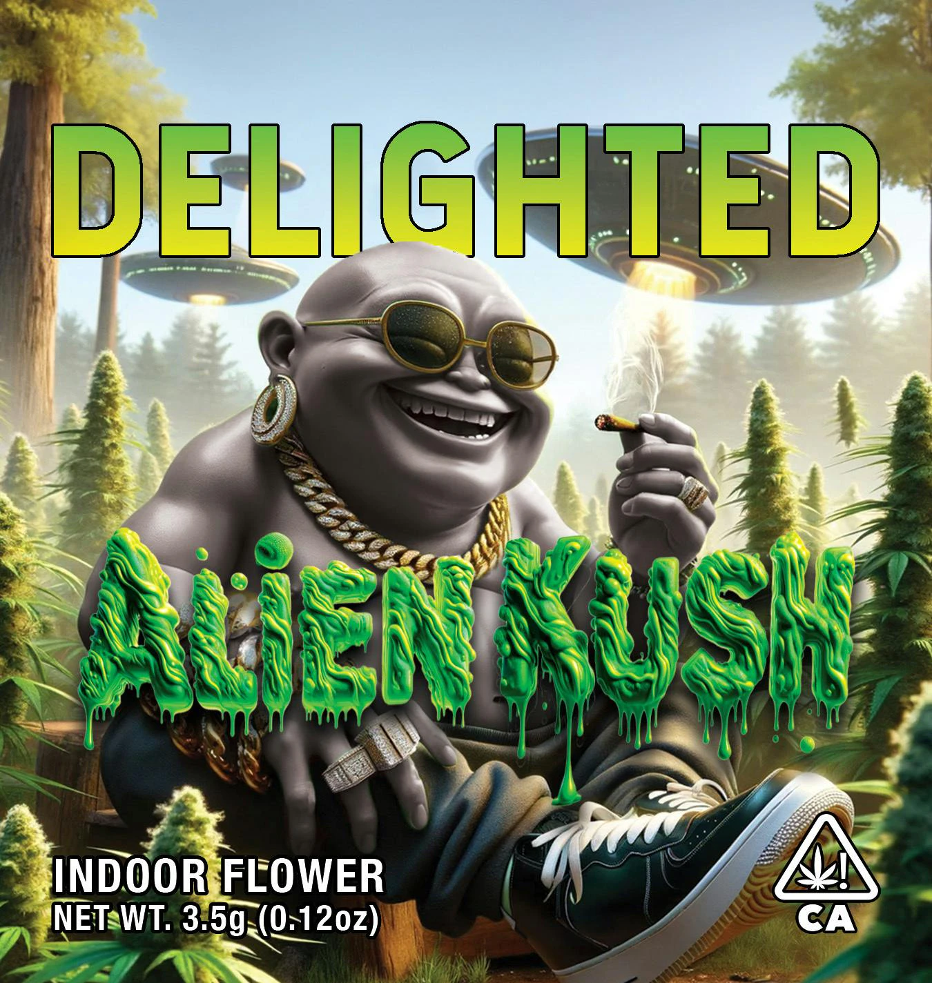 Delighted - Delighted - Flower - Alien Kush - 1g Main Image