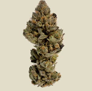 CBX - CBX - Zereal Milk - .75g Pre-Roll