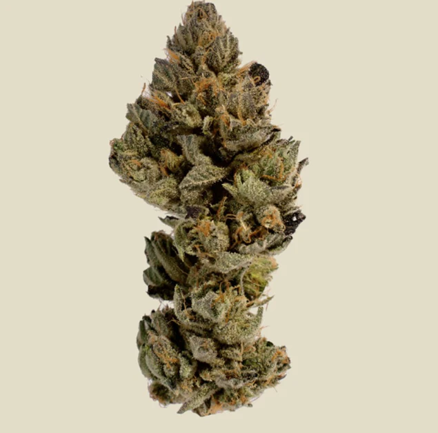 CBX - CBX - Zereal Milk - .75g Pre-Roll Main Image