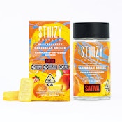 Caribbean Breeze 100mg Gummies - STIIIZY