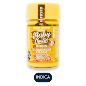 Jeeter - Rosin Baby Jeeters - Mango Sherbet - Infused Preroll Pack - 5pk - 2.5g