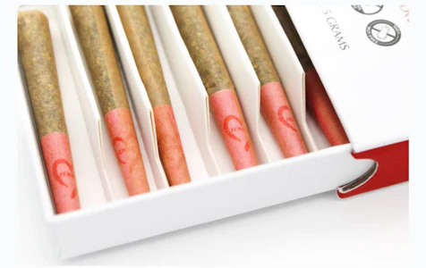 JENNY'S (NY) - Jenny's | Biscotti | 10 Half Gram Prerolls 