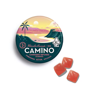 CAMINO - CAMINO - Edible - Watermelon Lemonade - Gummies - 20PK - 100MG