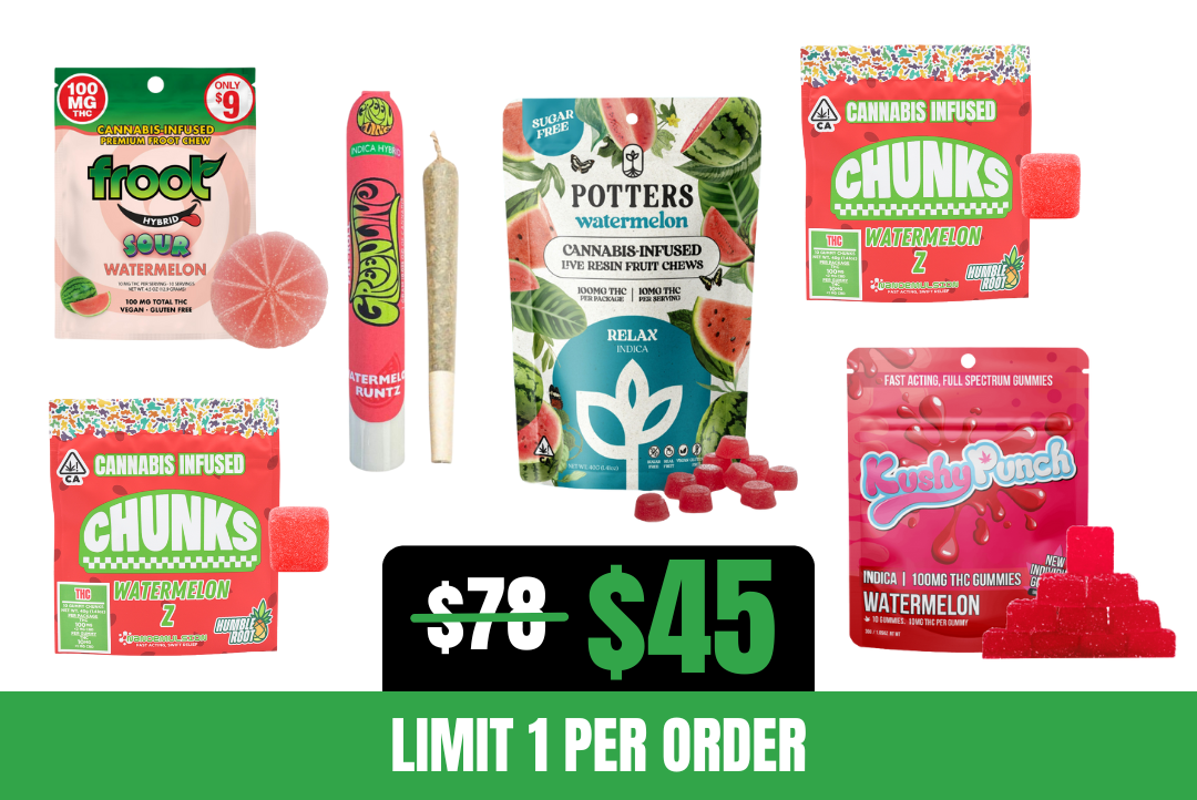 42% off Watermelon Picnic Bundle picture