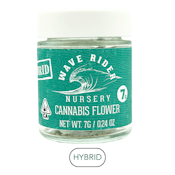 Wave Rider - Apple Fritter H - Flower - 7.0g
