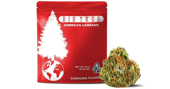 BIG TREE - Big Tree - Biscoff Cookies - 3.5g