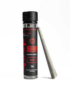 DANK BY DEFINITION - DANK | Fruity Pebbles | 1G Preroll