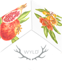 Northwest Confections, NM - WYLD - Pomegranate 1:1 (100mg THC/ 100mg CBD) Hybrid Enhanced