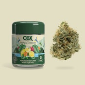 CBX - Tropical Lemonade Flower 3.5g