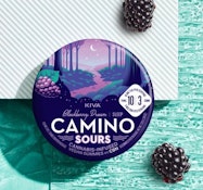 Camino Sours - Blackberry Dream Sleep 10:3 CBN Gummies 100mg