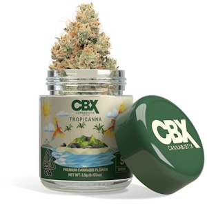 CANNABIOTIX - CBX 8th Tropicanna Sativa