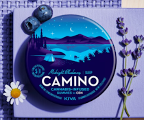 Midnight Blueberry - Camino Gummies - 20:4 CBN - 200mg