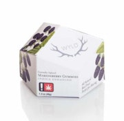 [WYLD] Gummies - 100mg - Marionberry (I)