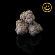 Excolo | OG 33 | indoor flower