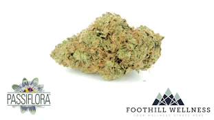 Passiflora - Larry OG (I) 3.5G