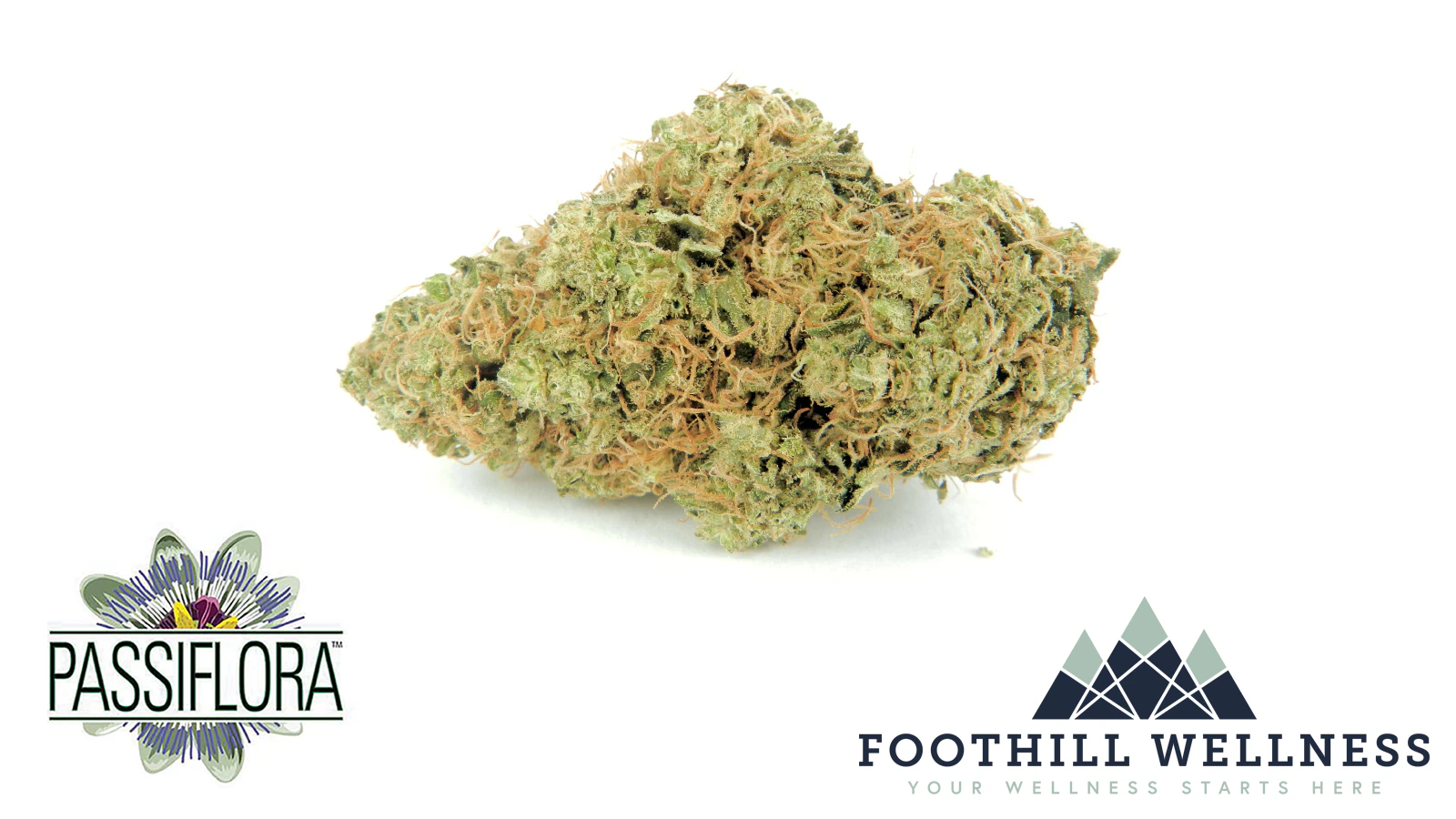 Passiflora - Passiflora - Larry OG (I) 3.5G Main Image
