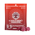 Kanha Nano - 100mg - 20ct Gummies - Cran Pomegranate