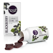 Hemp Blackberry Gummies, 10 pack