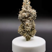  Dreamscape Farms | Freezerburn | 3.5G