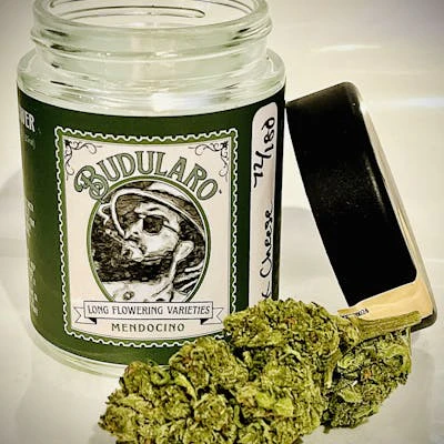 Budularo - BUDULARO | BUBBA KUSH X ORIGINAL HAZE | FLOWER | 3.5G Main Image