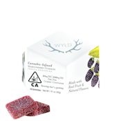 WYLD: MARIONBERRY GUMMY PACK 100MG