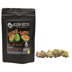 Kush Boys - Kush Boys - Guavalato Cake - Greenhouse - 3.5g