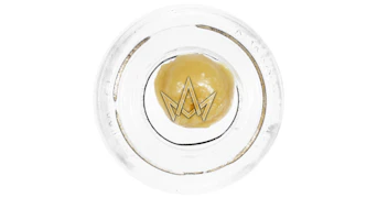 Humboldt Terp Council - Honey Bananas Live Rosin - 1g