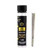 Pina Colada | Dank | Infused Preroll | 1.1g