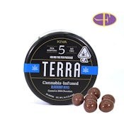 Terra Bites Milk Chocolate Blueberries 