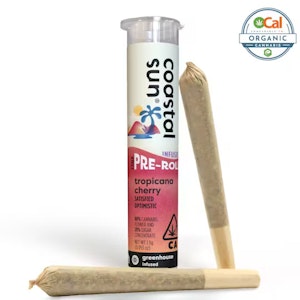 COASTAL SUN - Infused - 2pk - Tropicana Cherry - 1.5g (SH) - Coastal Sun