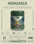 Highuasca (H) | 3.5g Jar | Cannabiotix