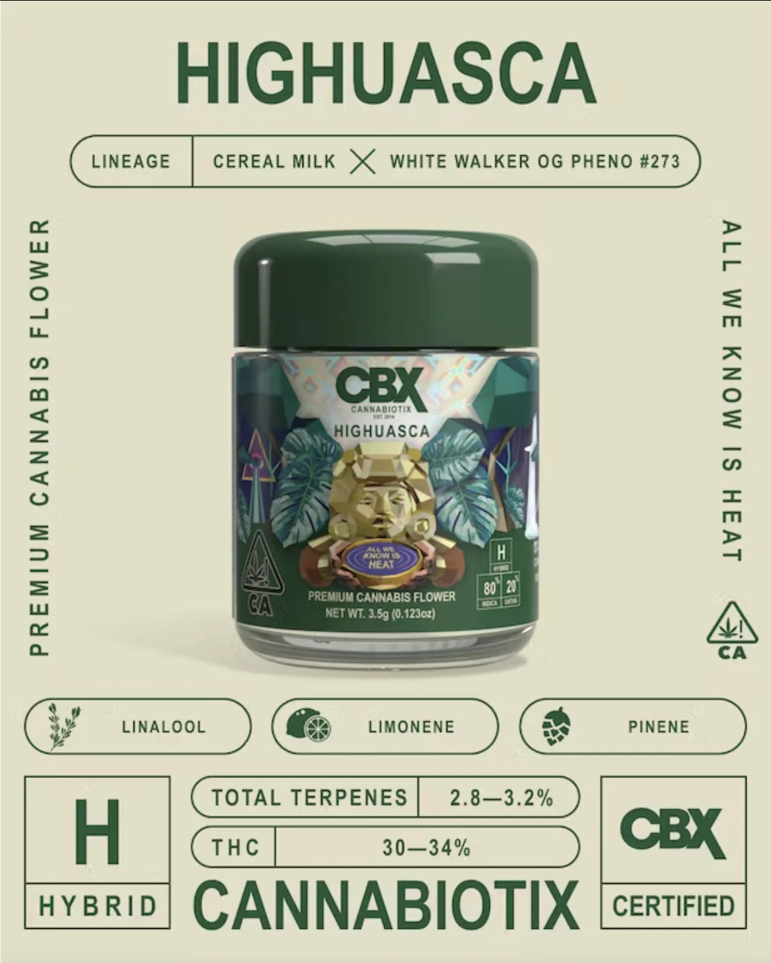 Cannabiotix - Highuasca (H) | 3.5g Jar | Cannabiotix Main Image